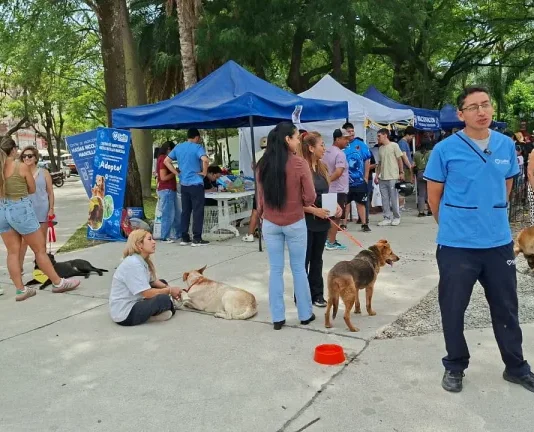 “La Muni Animal” llega a Tres Cerritos con servicios gratuitos