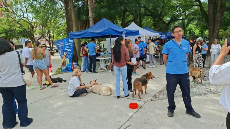 jornada-de-adopcion-plaza-alvarado-7-768x432