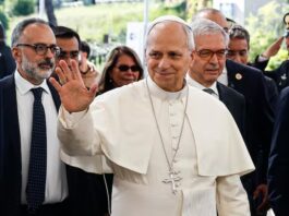 Resultados de los primeros estudios al papa León XIV tras la cirugía
