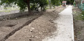 El municipio sumará un nuevo Corredor Vial en la avda. Coronel Vidt