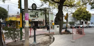 La Municipalidad renueva el Paseo de los Poetas con mejores espacios y más accesibilidad